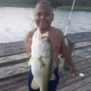 Meet your Posher, Sidney